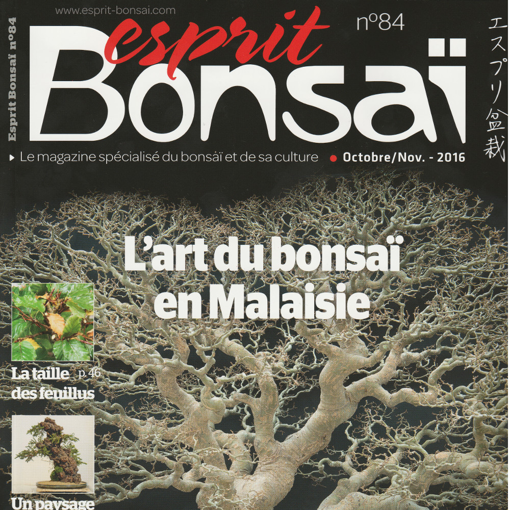 esprit bonsai 84
